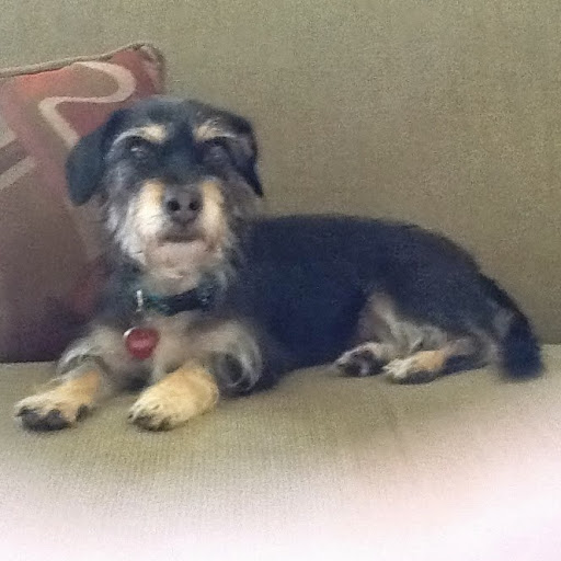 Edwin Velez Photo 18