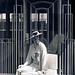 Irene Rich Photo 22