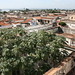 Benjamin Cubas Photo 9