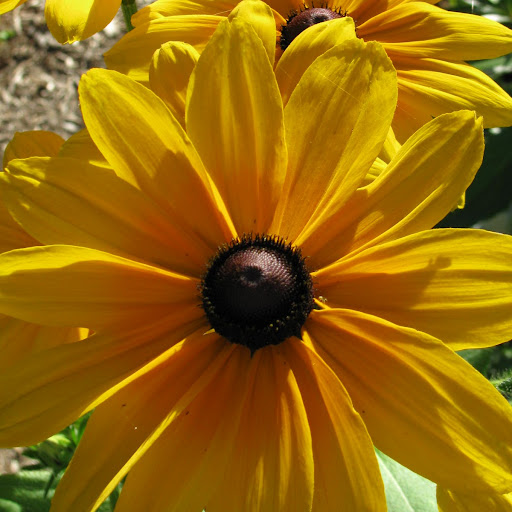 Christine Oakes Photo 11