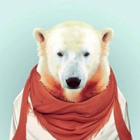 Timothy Meyer Photo 37