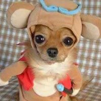 Michael Kemper Photo 8