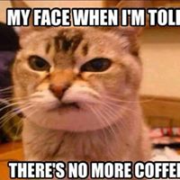 Marc Haynes Photo 23