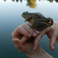 Brian Macfarlane Photo 21