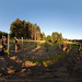 Mark Bainbridge Photo 10