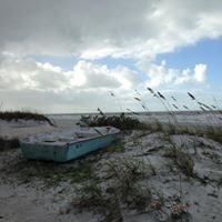 Ann Duris Photo 4