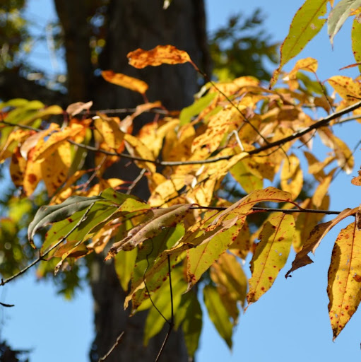 Tracy Lowry Photo 14