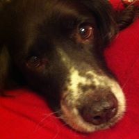 Jillian Marshall Photo 9