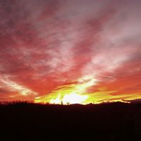 Laura Tidwell Photo 31