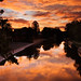 Dawn Rivers Photo 11