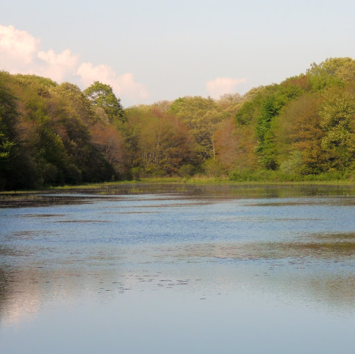 Kathryn Woods Photo 23