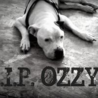 John Whitmire Photo 21