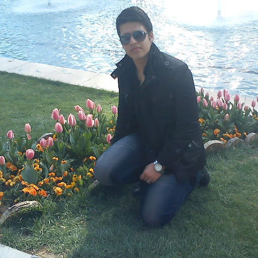 Reza Tavana Photo 8