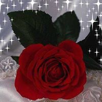 Sandra Hamlet Photo 6