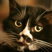 Thomas Chaka Photo 9