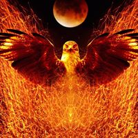 Michele Cochran Photo 15