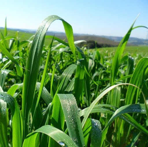 Carlos Simon Photo 38