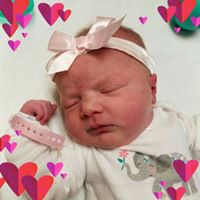 Dana Adkins Photo 31 Dana Adkins Photo 31