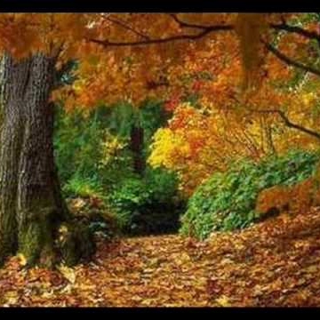 Martin Mohr Photo 26