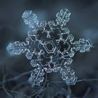 Nancy Sears Photo 10