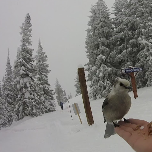 Michael Weidner Photo 26