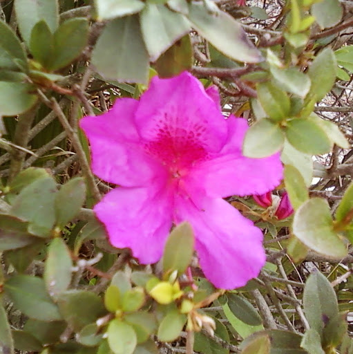 Christine Meyers Photo 23