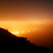 Adan Garcia Photo 4