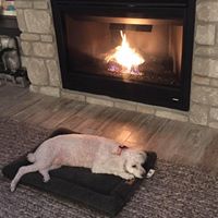 Marilyn Reese Photo 15