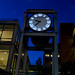 Deborah Murdock Photo 18