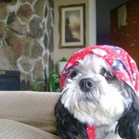 Robert Manson Photo 11