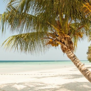 Robin Avila Photo 11