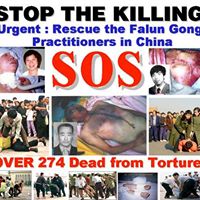 Cynthia Moreno Photo 25