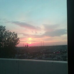 Michelle Staley Photo 21