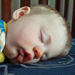 Scott Roach Photo 10