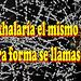 Alicia Rosa Photo 15