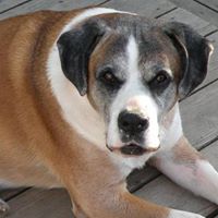 Susan Byers Photo 11
