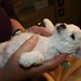 Michelle Pappas Photo 5