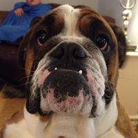 Ronald Hodge Photo 19