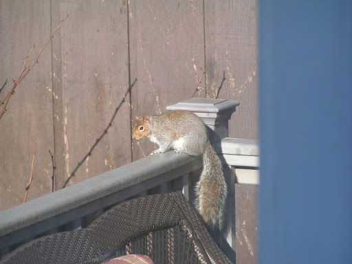 Sandra Albertsen Photo 12