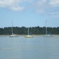 Catherine Downes Photo 8