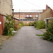 William Bartlett Photo 32
