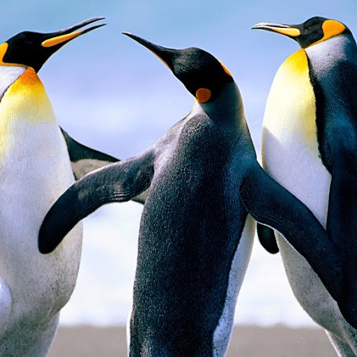 Geoffrey Chen Photo 15