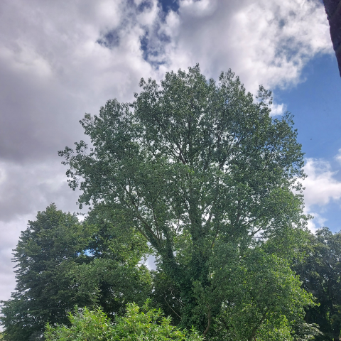 Megan England Photo 14