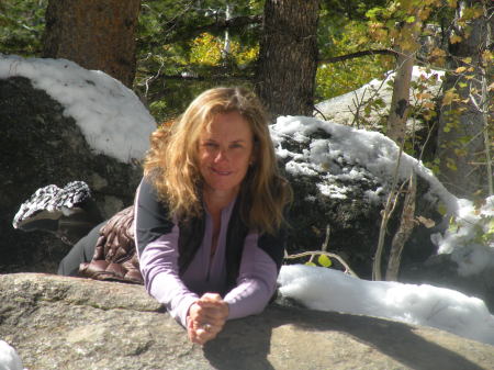 Lisa Barker Photo 4