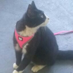 Heather Perez Photo 19