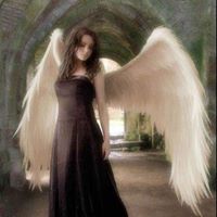 Miguel Cisneros Photo 22