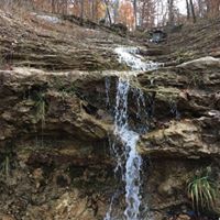 Jackie Shaffer Photo 17