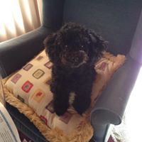 Janet Markham Photo 7