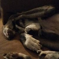 Casey Inman Photo 17