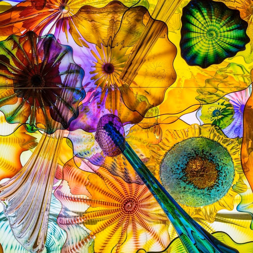 Traci Bradley Photo 14